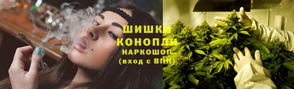 шишки Алзамай