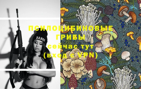 шишки Алзамай