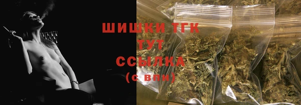 соль ск Арсеньев