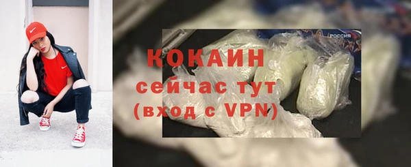 соль ск Арсеньев