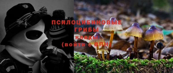 шишки Алзамай