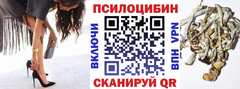 Галлюциногенные грибы Cubensis  Новодвинск 