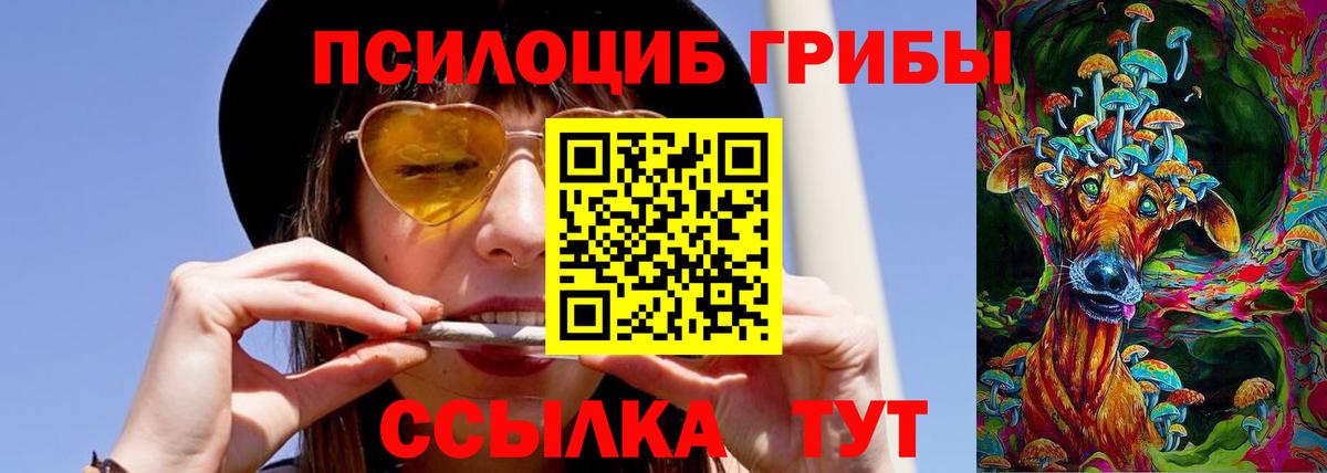 Новодвинск  Галлюциногенные грибы мицелий  закладки  Галлюциногенные грибы мицелий  Вход с VPN 