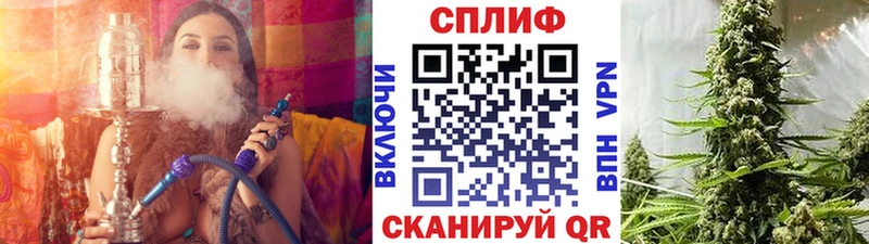 Каннабис Amnesia Новодвинск